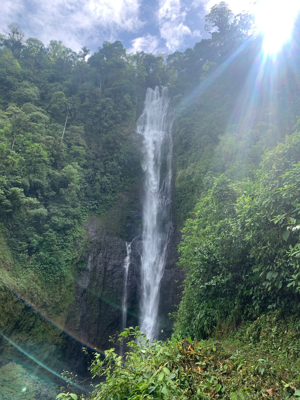 Mi primera foto enviada al directorio de&nbsp;WordPress